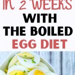 Boiled Egg Diet: A Critical Look at the Claims and Reality